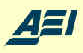 AEI logo